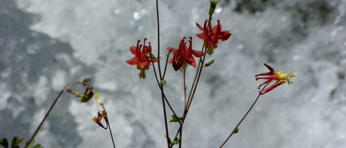 P1070796